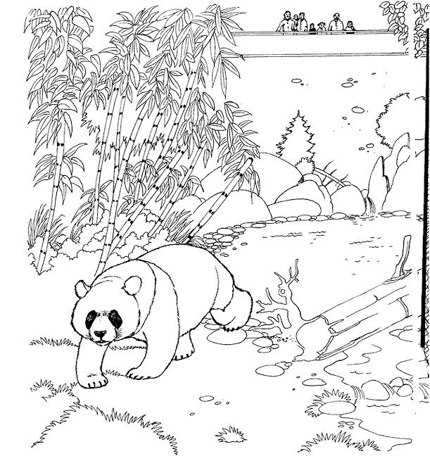 Coloriage 22 Zoo