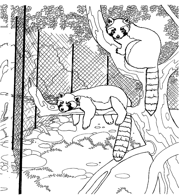 Coloriage 3 Zoo