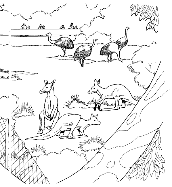 Coloriage 4 Zoo
