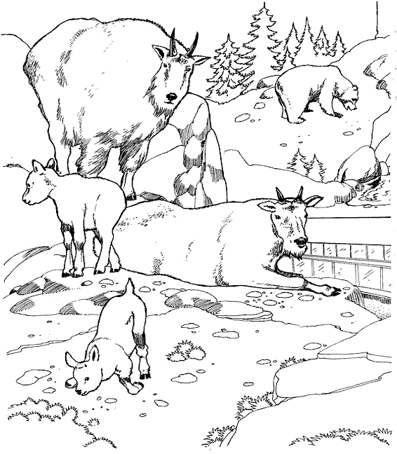 Coloriage 6 Zoo