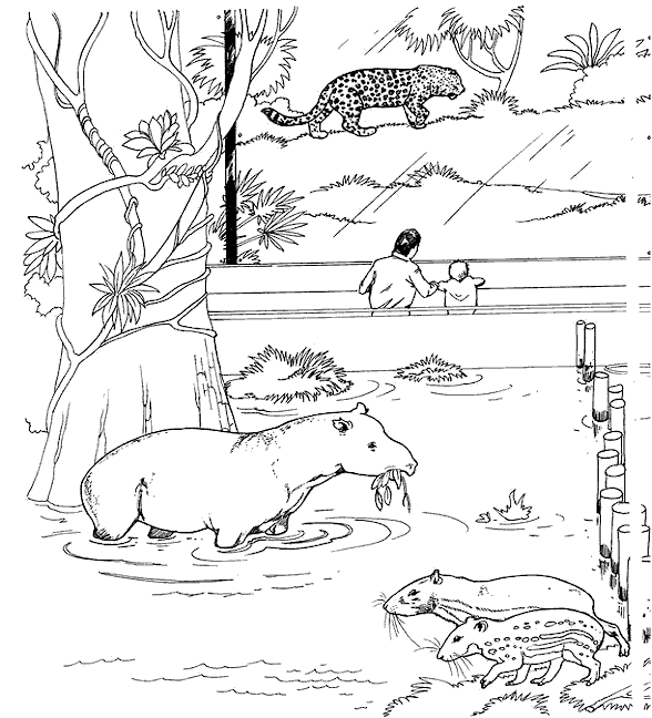 Coloriage 7 Zoo
