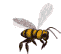 EMOTICON abeilles 22