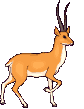 EMOTICON antilopes 2
