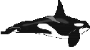 Gifs Animés balenes 15