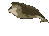 Gifs Animés balenes 32
