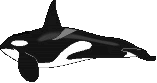 Gifs Animés balenes 40
