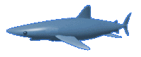 Gifs Animés balenes 6
