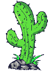 Gifs Animés cactus 33