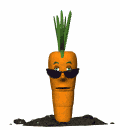 Gifs Animés carottes 21