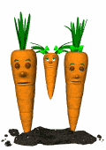 Gifs Animés carottes 28