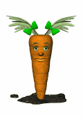 Gifs Animés carottes 32