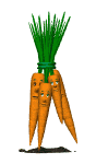 Gifs Animés carottes 36