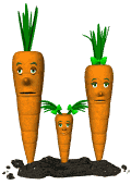 Gifs Animés carottes 40
