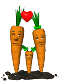 Gifs Animés carottes 41