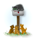 Gifs Animés cat icone mail 13