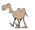 EMOTICON chameaux 10