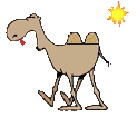 EMOTICON chameaux 11