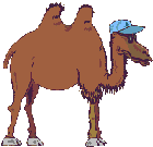 EMOTICON chameaux 19