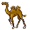 EMOTICON chameaux 2