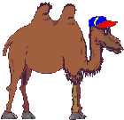 EMOTICON chameaux 20