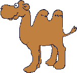 Gifs Animés chameaux 26