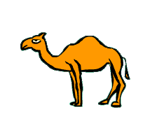 Gifs Animés chameaux 37