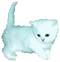 Gifs Animés chats 1510