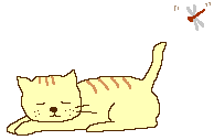 Gifs Animés chats 464