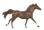 EMOTICON chevals 147