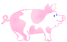 Gifs Animés cochon 156