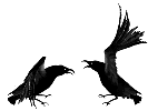 Gifs Animés corbeaux 3