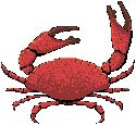 EMOTICON crabes 3