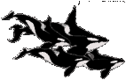 Gifs Animés daufins 107