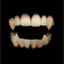 EMOTICON dentiers 7