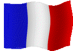EMOTICON drapeau de la france 28