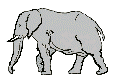 Gifs Animés elephants 117
