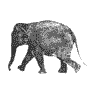 Gifs Animés elephants 132