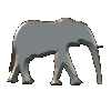 Gifs Animés elephants 155