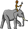 Gifs Animés elephants 165