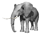 Gifs Animés elephants 187