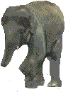 Gifs Animés elephants 247