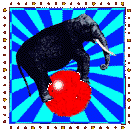 Gifs Animés elephants 253