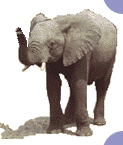 Gifs Animés elephants 269