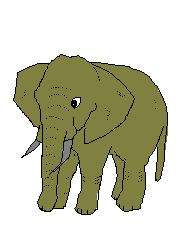 Gifs Animés elephants 358