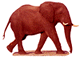 Gifs Animés elephants 45