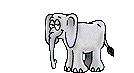 Gifs Animés elephants 78