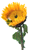 EMOTICON fleur 1