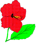 EMOTICON fleur 15