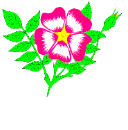 EMOTICON fleur 192
