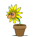 EMOTICON fleur 205